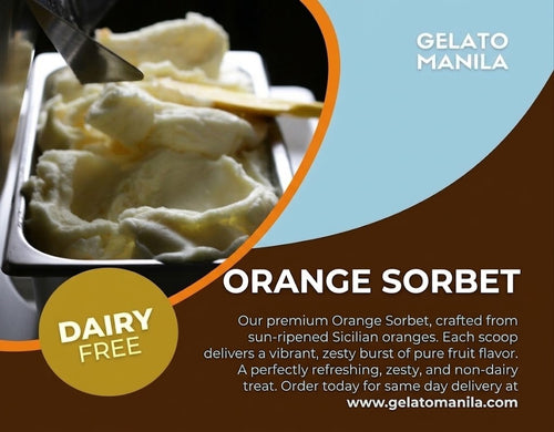 Orange Sorbet (120 ml)