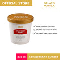 Strawberry Sorbet